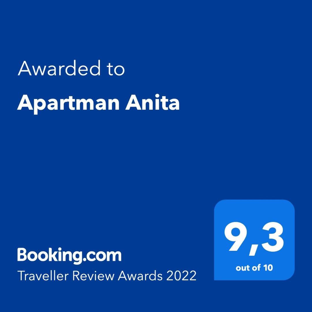 Apartman Anita 罗戈兹尼察 外观 照片